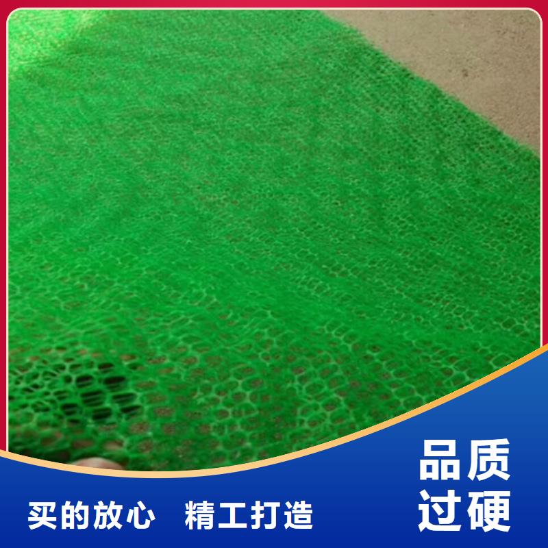三维植被网土工布批发厂家型号齐全