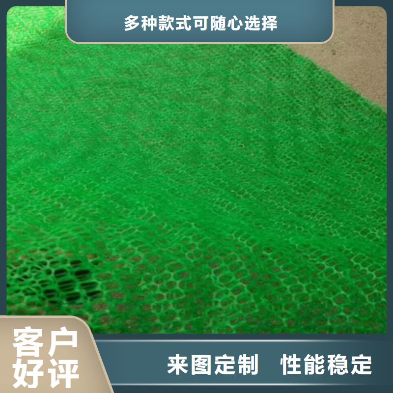 【三维植被网三维水土保护毯品牌大厂家】