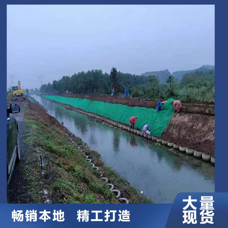 三维植被网护坡土工网货源直销