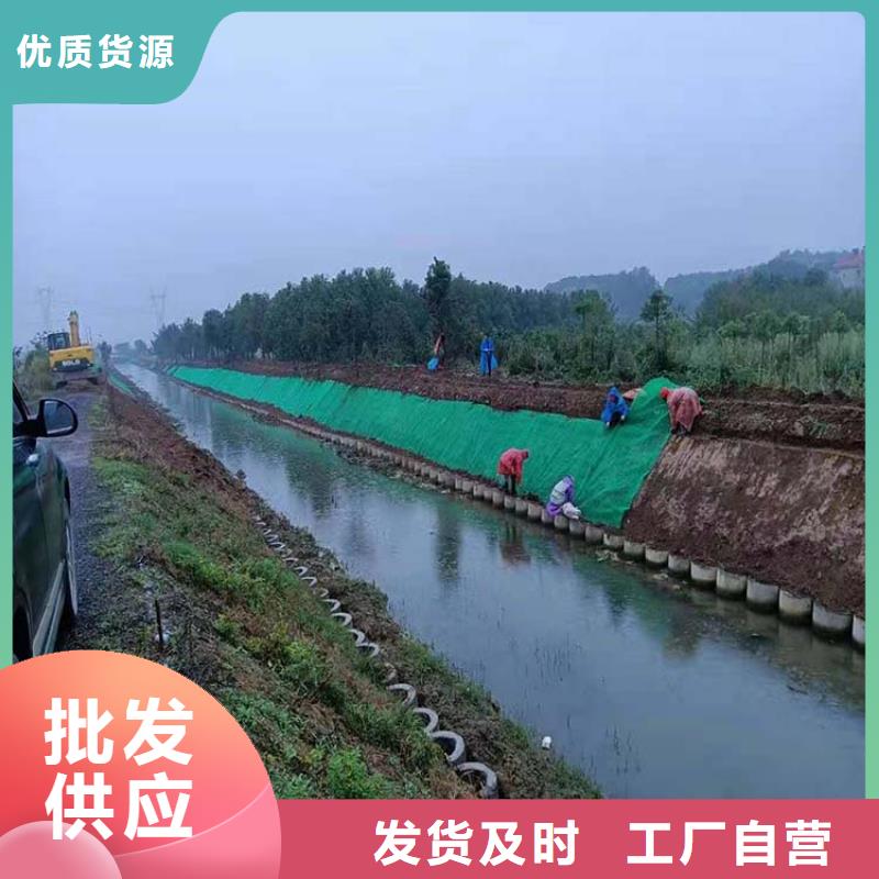 2025三维植被网施工方案