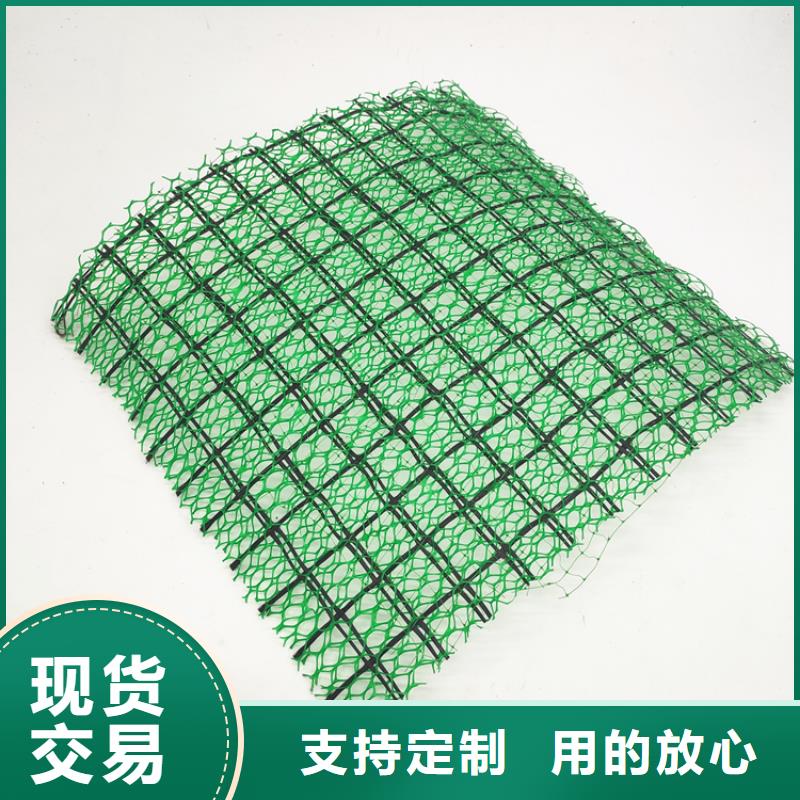 济源市三维土工网垫价格信息-三维土工网垫生产厂家
