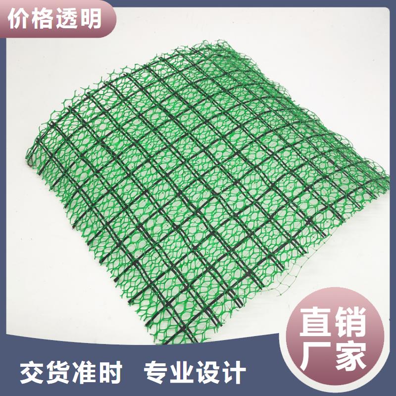 三维土工网垫价格信息-三维土工网垫生产厂家