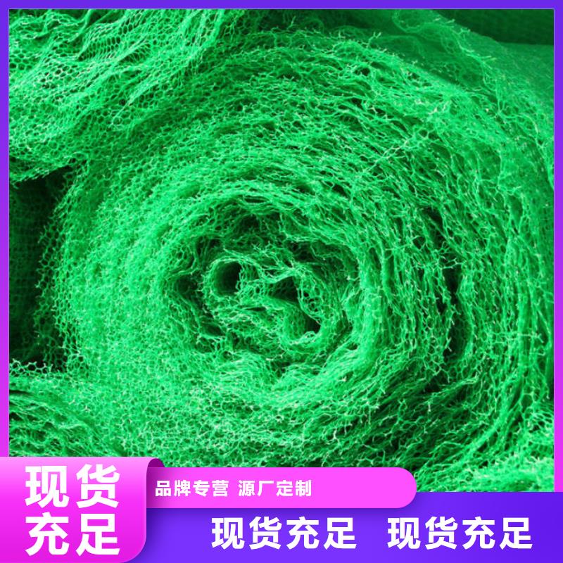三维植被网施工图片-可定制生产