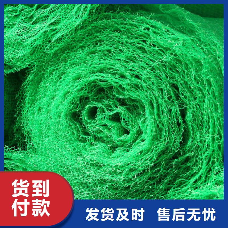 边坡防护三维植被网——集团公司-2025新行情