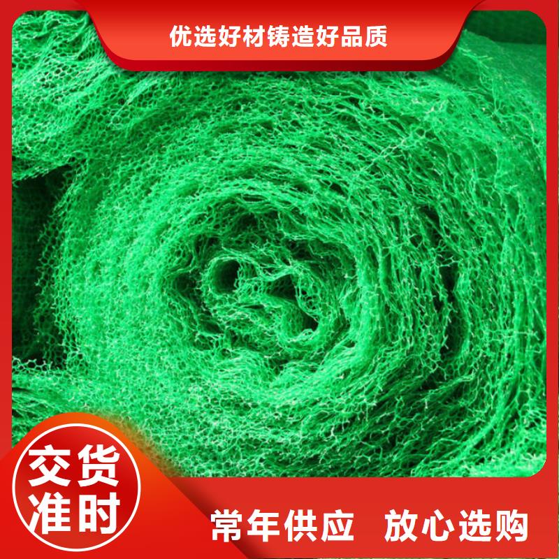 三维植被网钢塑土工格栅的简单介绍