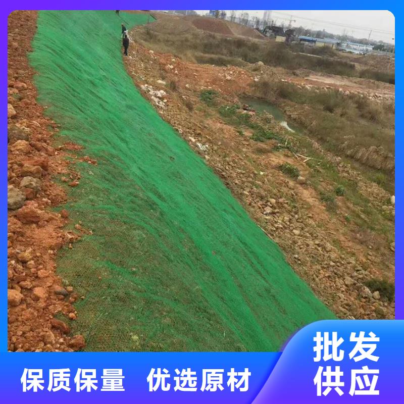 EM3三维植被网哪里有卖?-厂家地址
