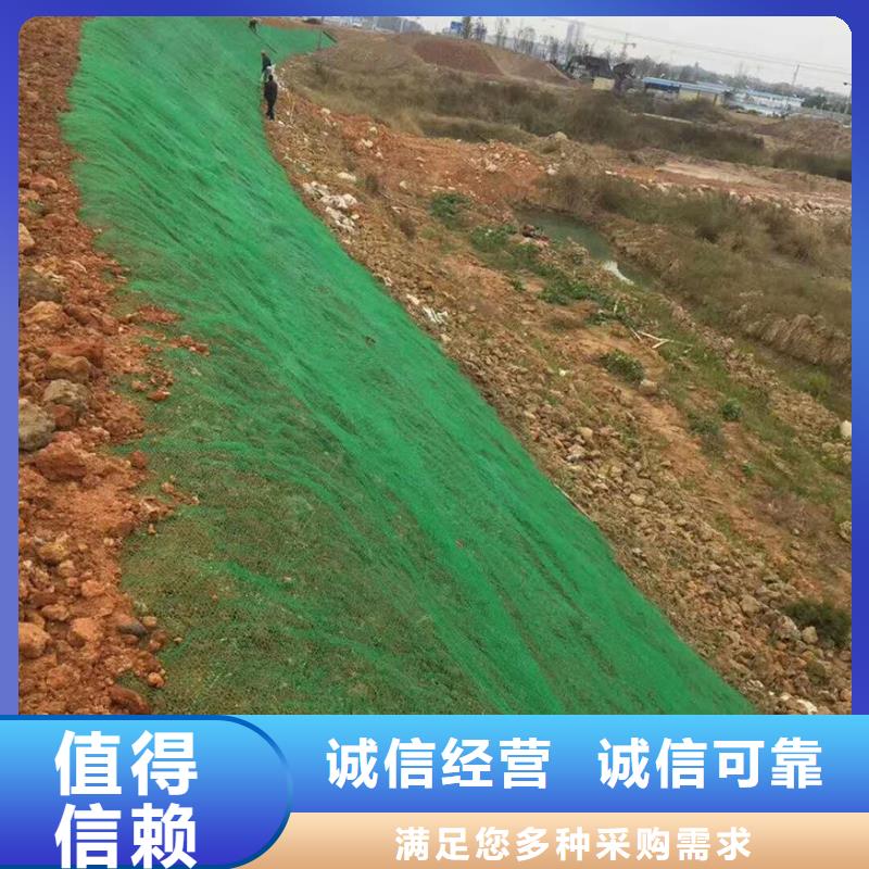 三维植被网复合土工膜专业生产设备