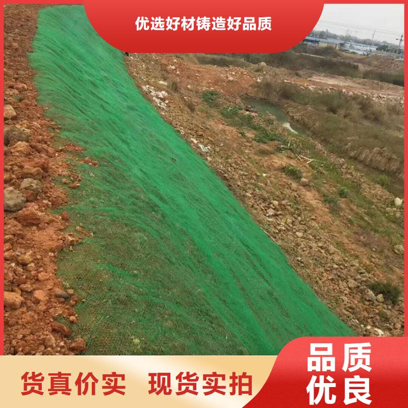 三维植被网垫生产商家厂家地址