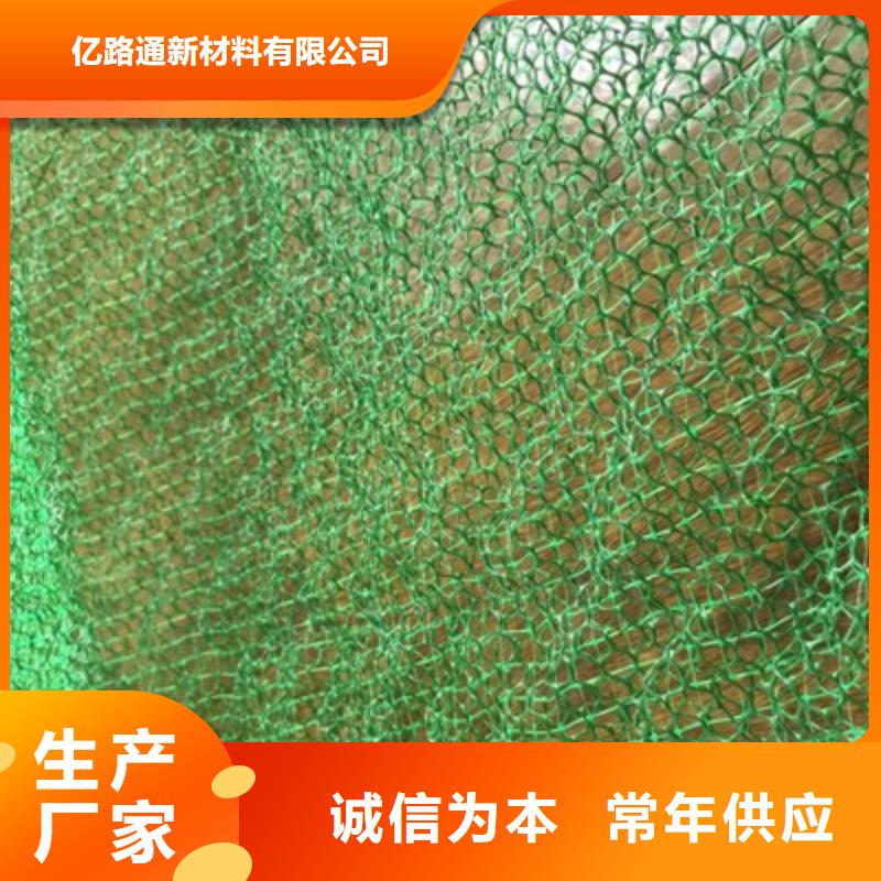 EM3三维植被网厂家直销