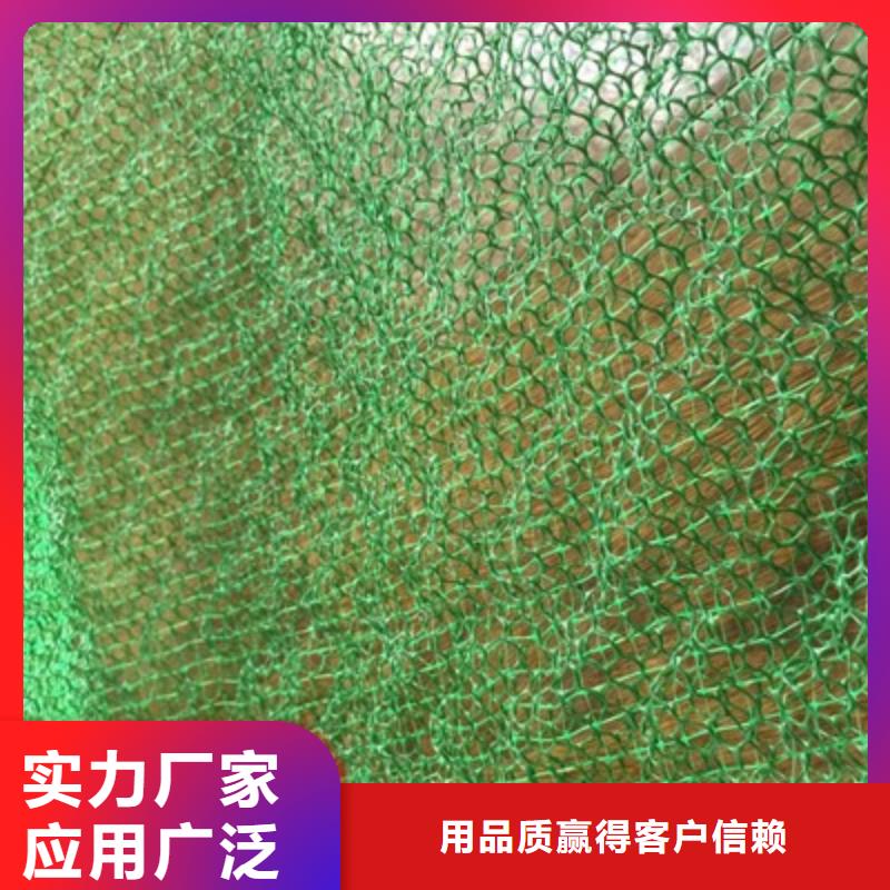 三维植被网三维植被网厂家物美价优
