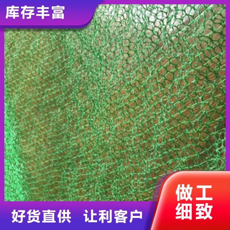 护坡种草三维植被网生产厂家收费标准