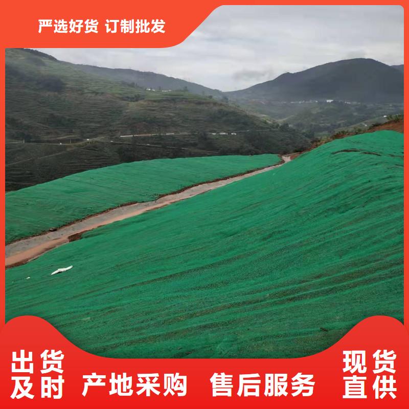 济源市三维土工网垫价格信息-三维土工网垫生产厂家