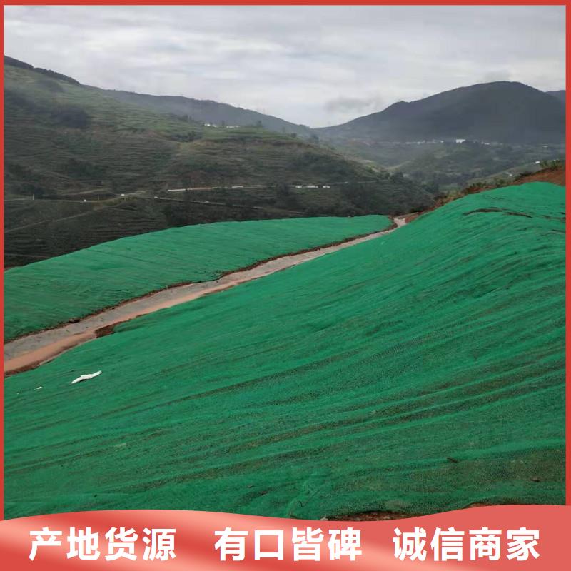 三维植被网钢塑土工格栅的简单介绍