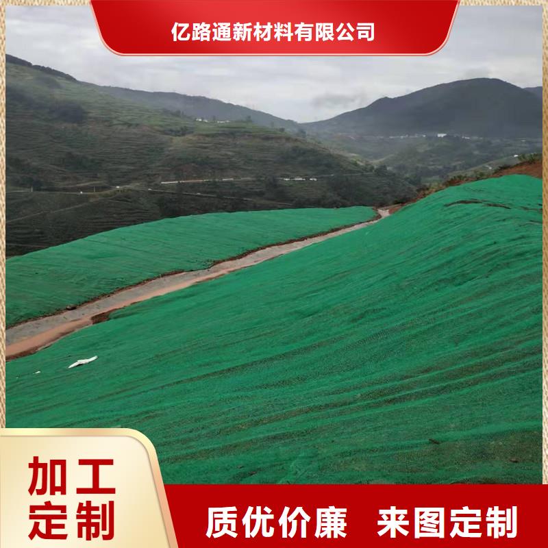 三维植被网_高性价比三维植被网_选择亿路通新材料