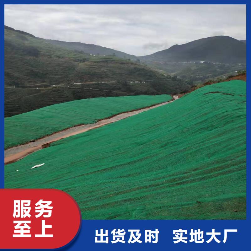 边坡防护三维植被网——集团公司-2025新行情
