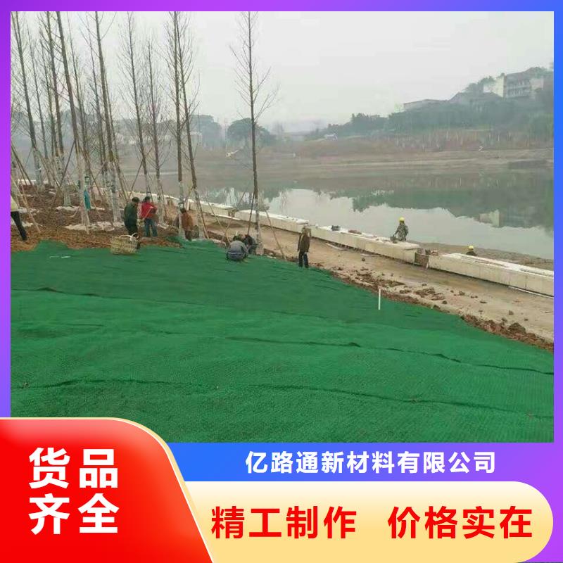 三维植被网2025发售价多少EM4三维土工植被网批发价格三维土工网垫——三维植被网2025年价格表