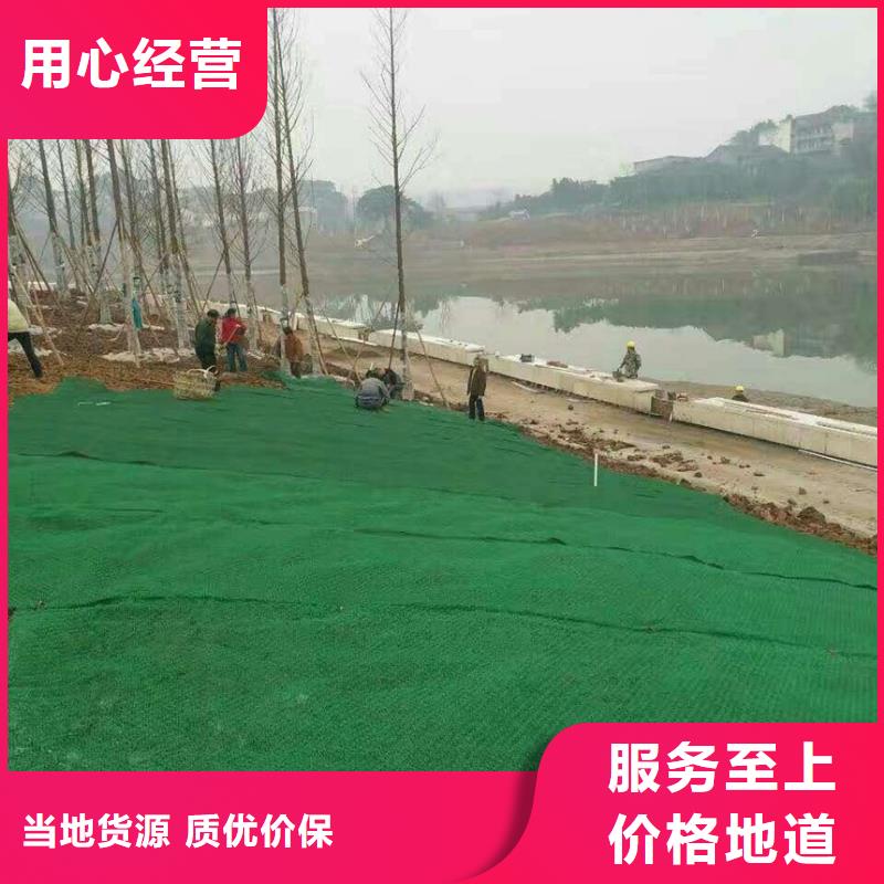三维植被网2025发售价多少EM4三维土工植被网批发价格三维土工网垫——三维植被网2025年价格表