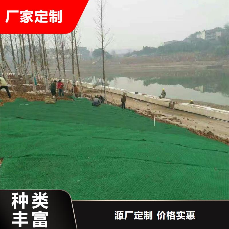 三维土工网垫价格信息-三维土工网垫生产厂家