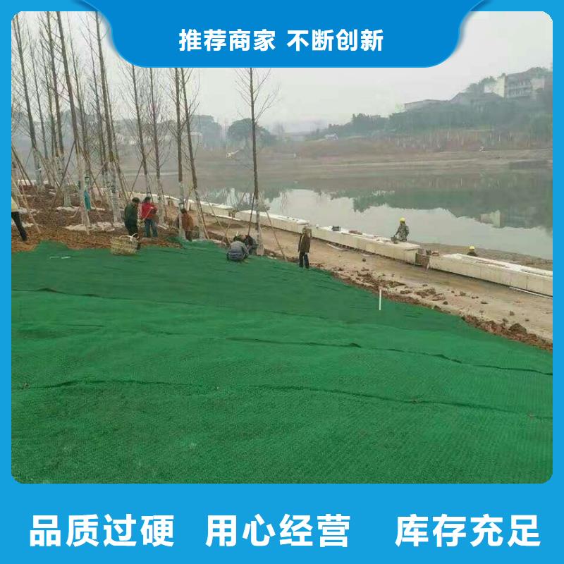 三维植被网土工布价格质检合格发货
