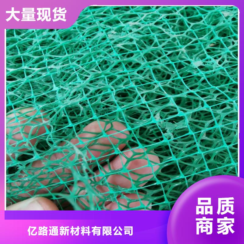 三维植被网2025发售价多少EM4三维土工植被网批发价格三维土工网垫——三维植被网2025年价格表