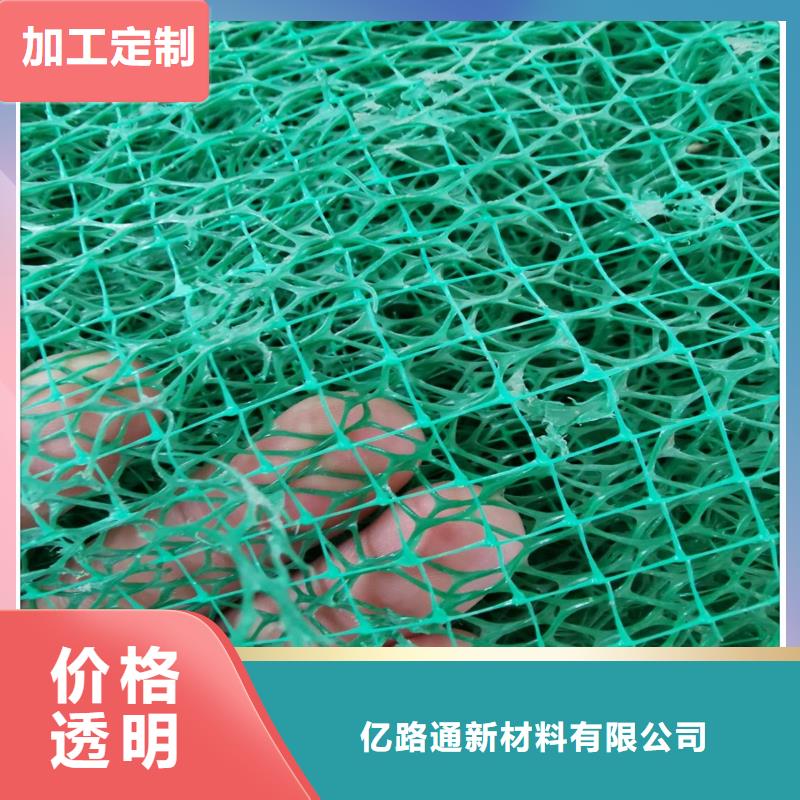 护坡种草三维植被网生产厂家收费标准