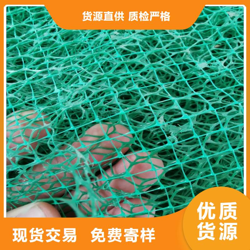 边坡防护三维植被网——集团公司-2025新行情