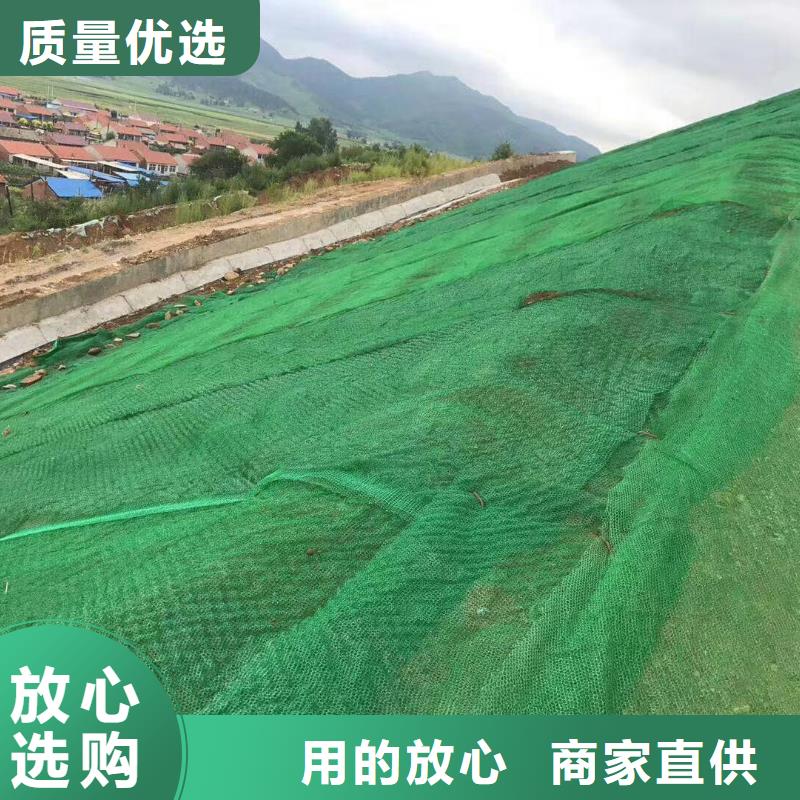 三维植被网钢塑土工格栅厂家批发货源