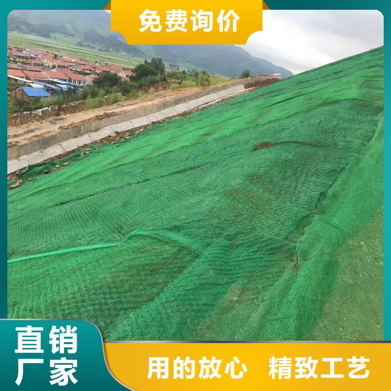 护坡种草三维植被网生产厂家收费标准