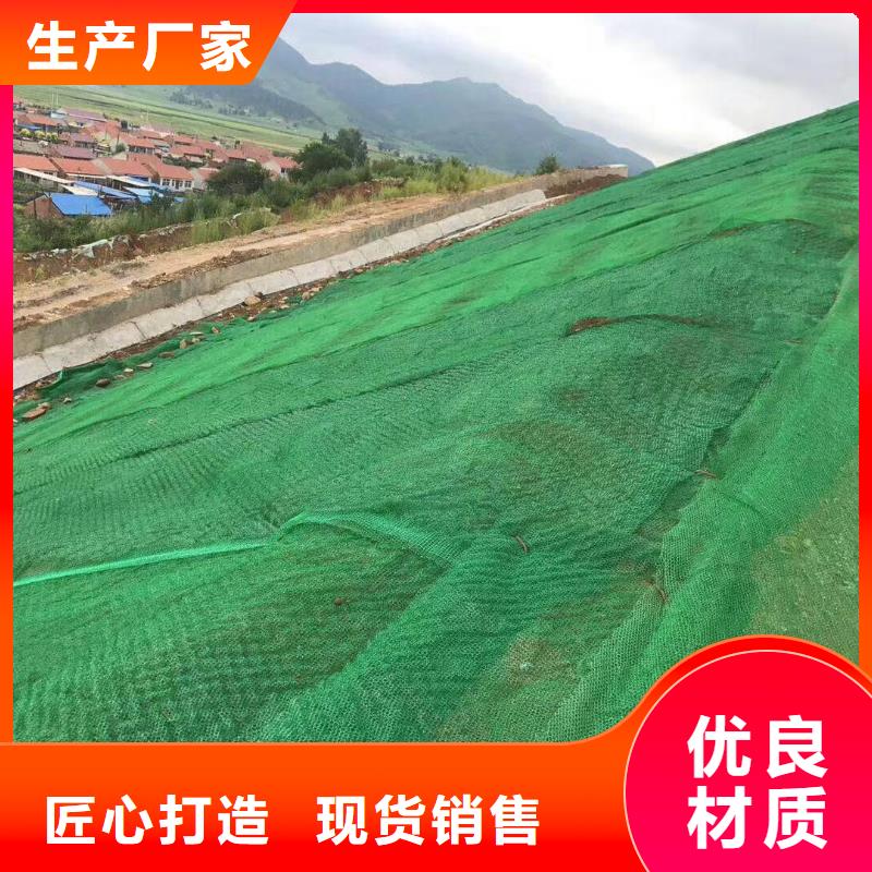 三维植被网|三维网垫植草护坡|三维土工网垫厂家选山东亿路通