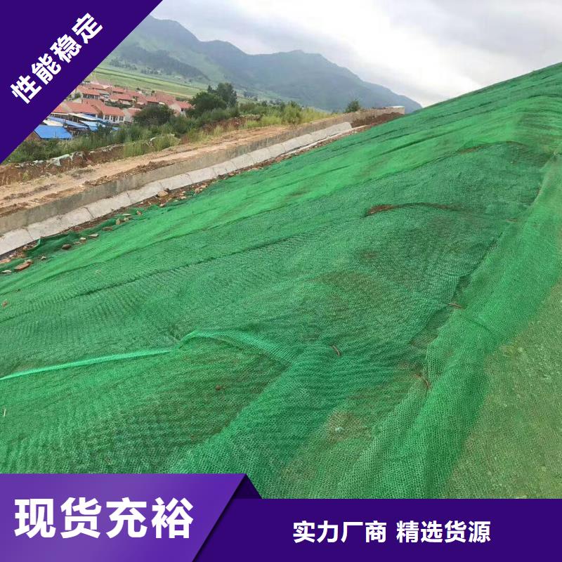 三维植被网复合土工膜专业生产设备