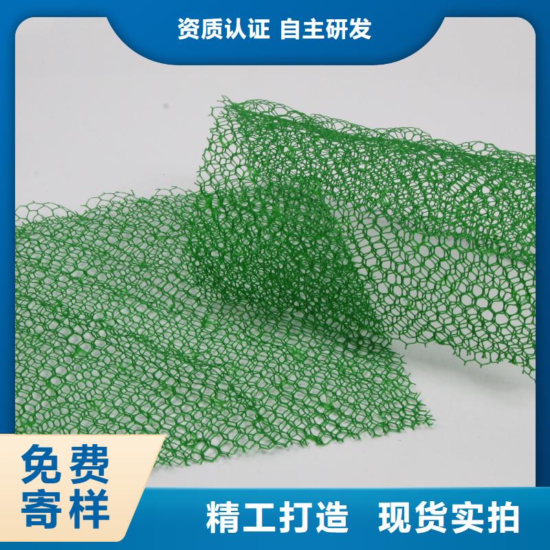 三维植被网塑料盲沟老品牌厂家