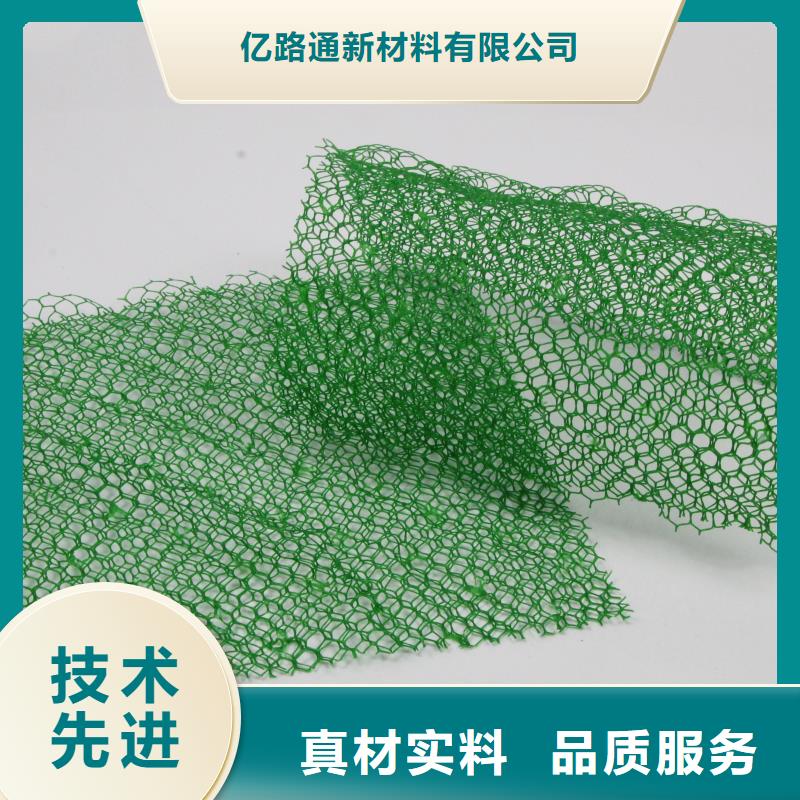 三维植被网钢塑土工格栅厂家批发货源