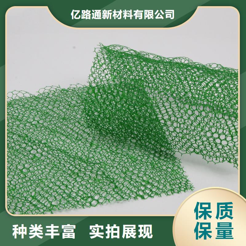 三维土工网垫_三维植被网2025年价格表