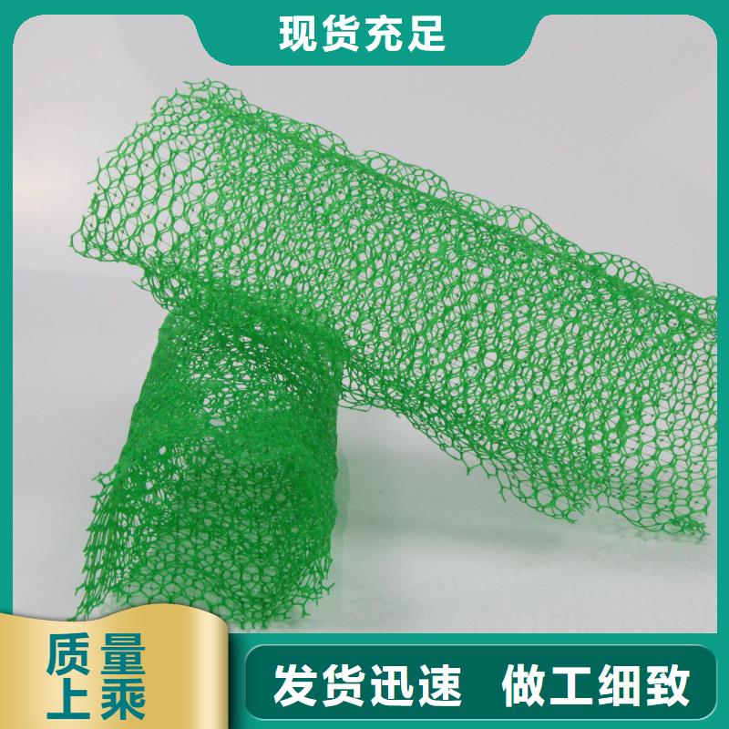 三维植被网硬式透水管快捷物流