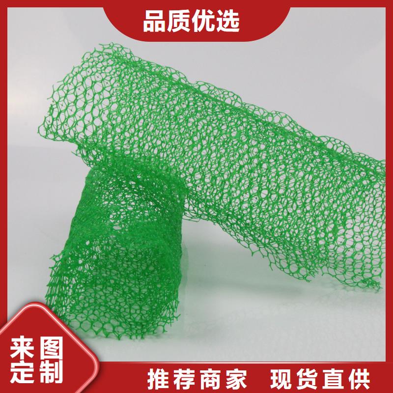 三维植被网_高性价比三维植被网_选择亿路通新材料