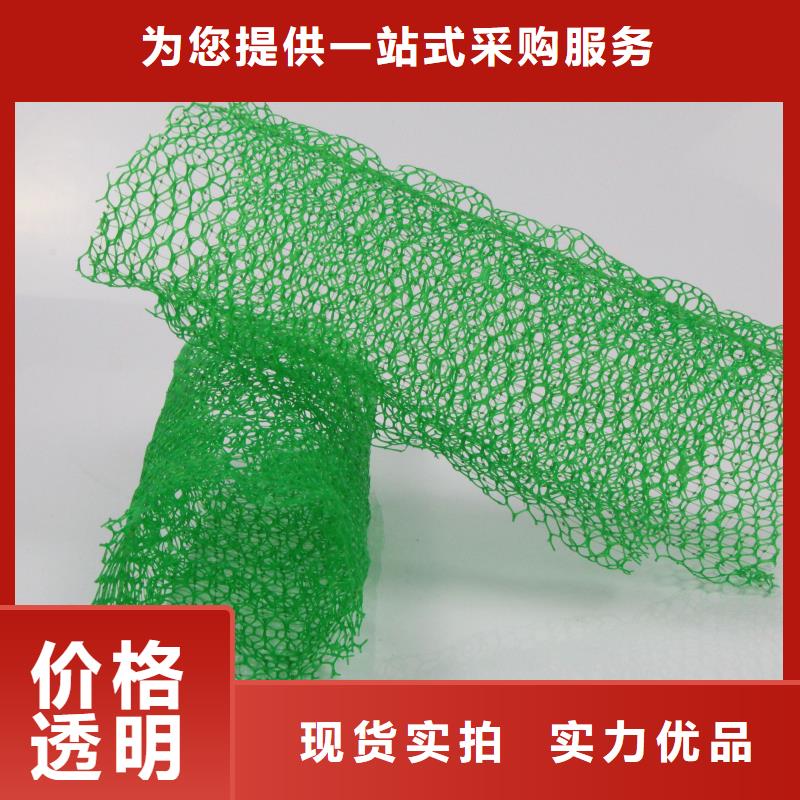 三维植被网2025发售价多少EM4三维土工植被网批发价格三维土工网垫——三维植被网2025年价格表