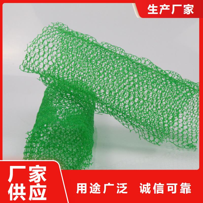 【三维植被网护坡土工网专注生产N年】