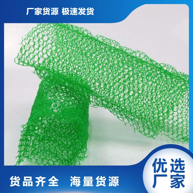 三维植被网垫生产商家厂家地址