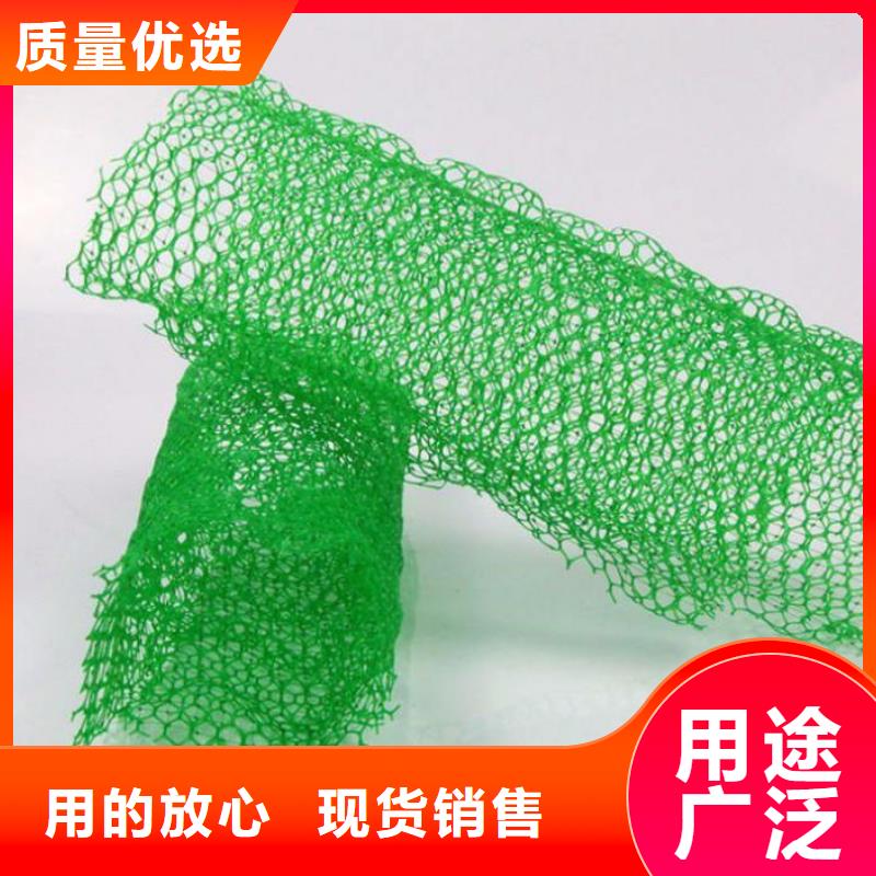 三维植被网土工布价格海量库存