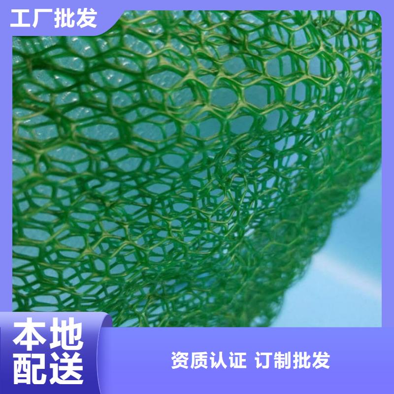 三维植被网垫生产商家厂家地址