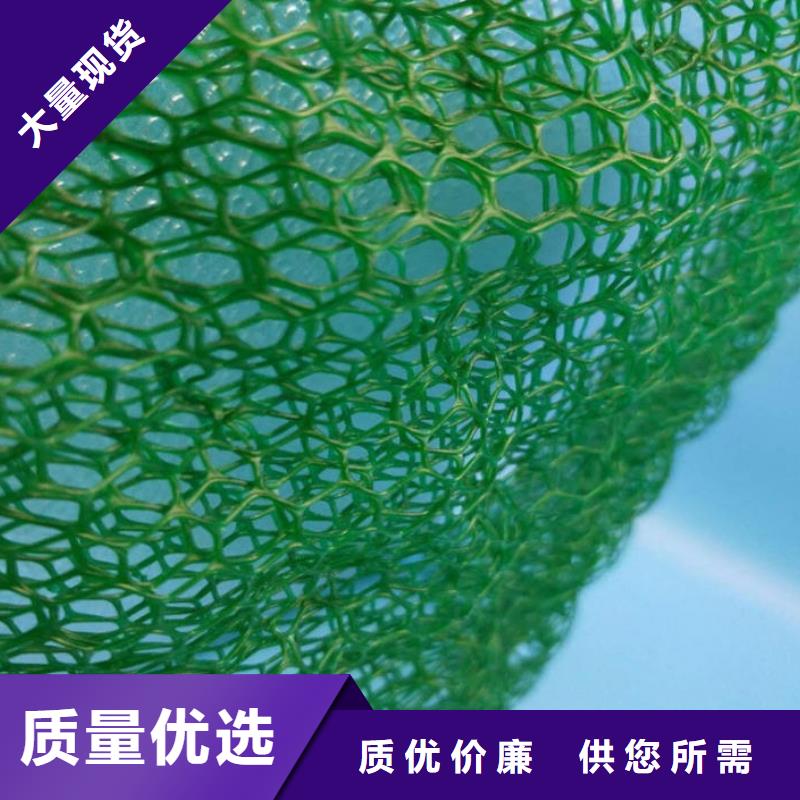 三维植被网【土工布批发】一致好评产品