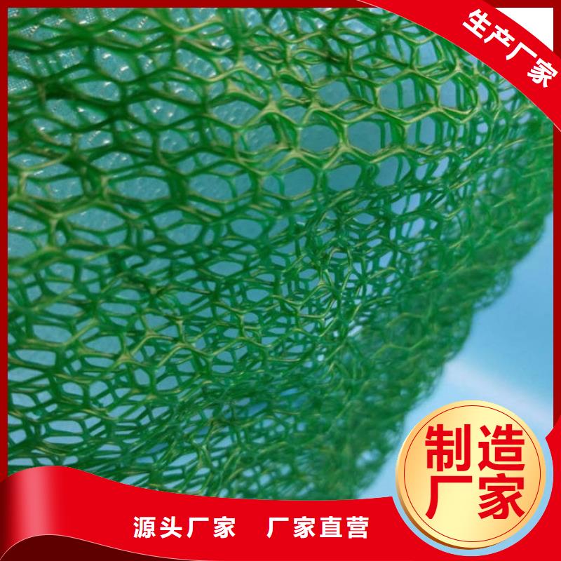 2025三维植被网施工方案