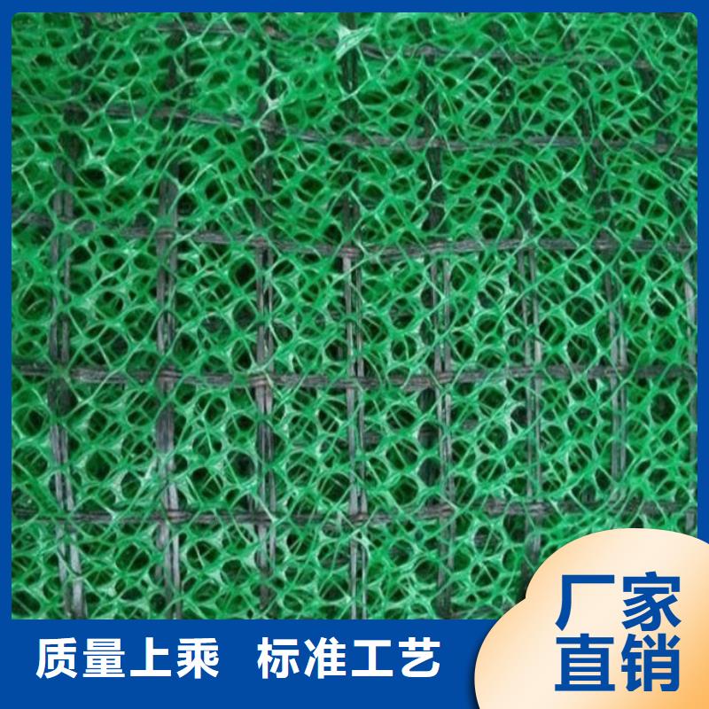 三维植被网_土工格栅_土工格网_植物支撑网–山东亿路通新材料有限公司