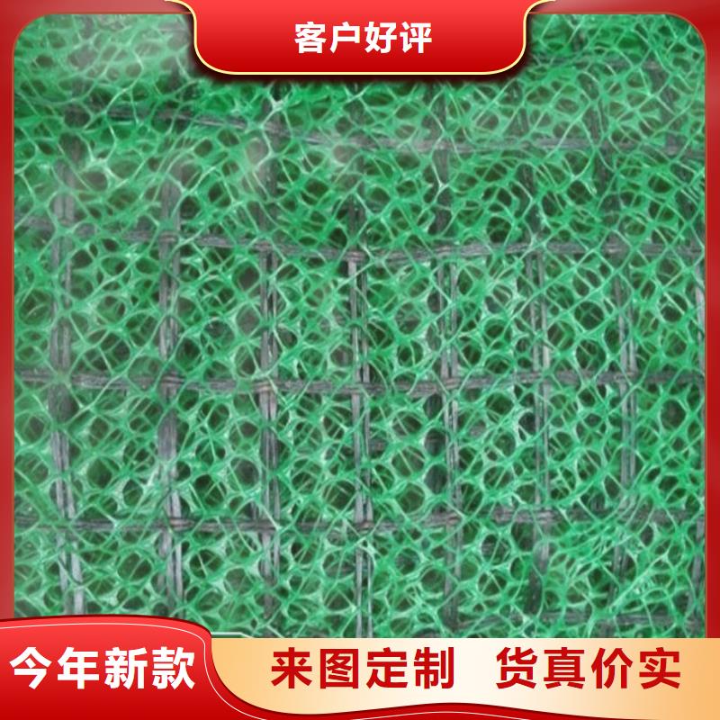 三维植被网土工布价格质检合格发货