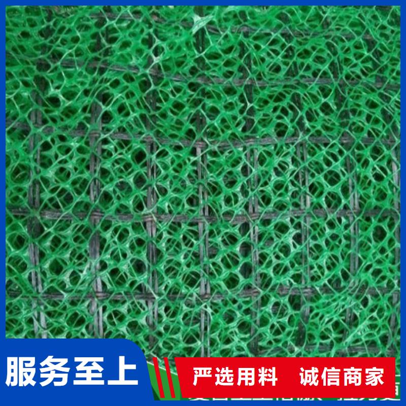三维植被网钢塑土工格栅厂家匠心品质