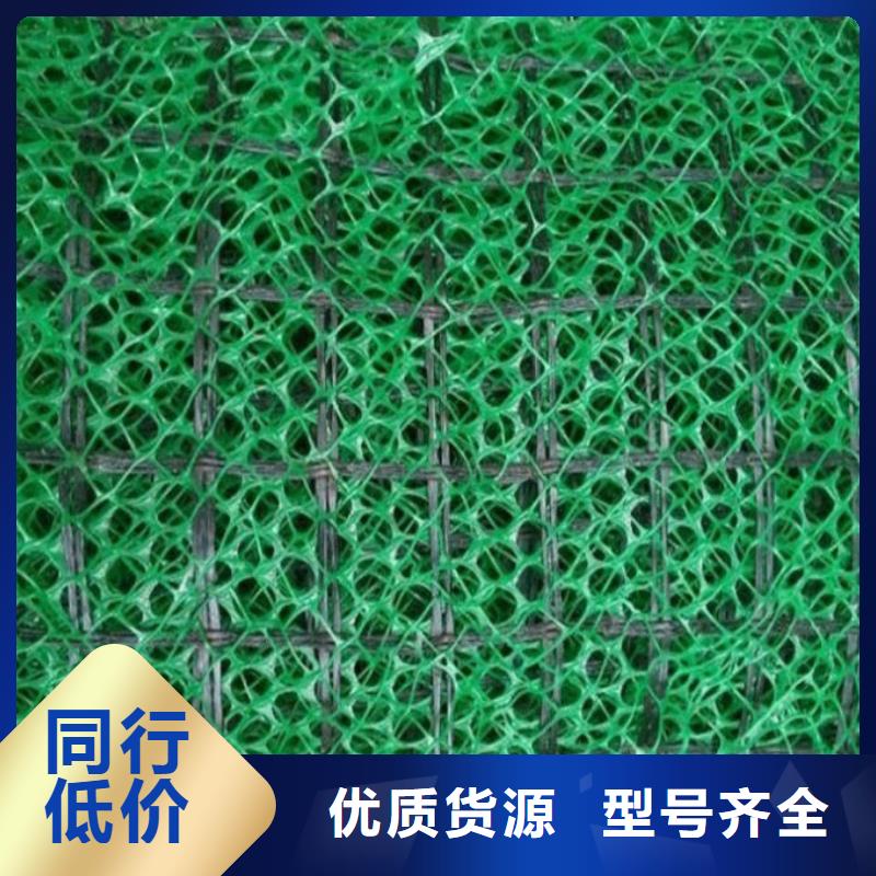 边坡防护三维植被网——集团公司-2025新行情