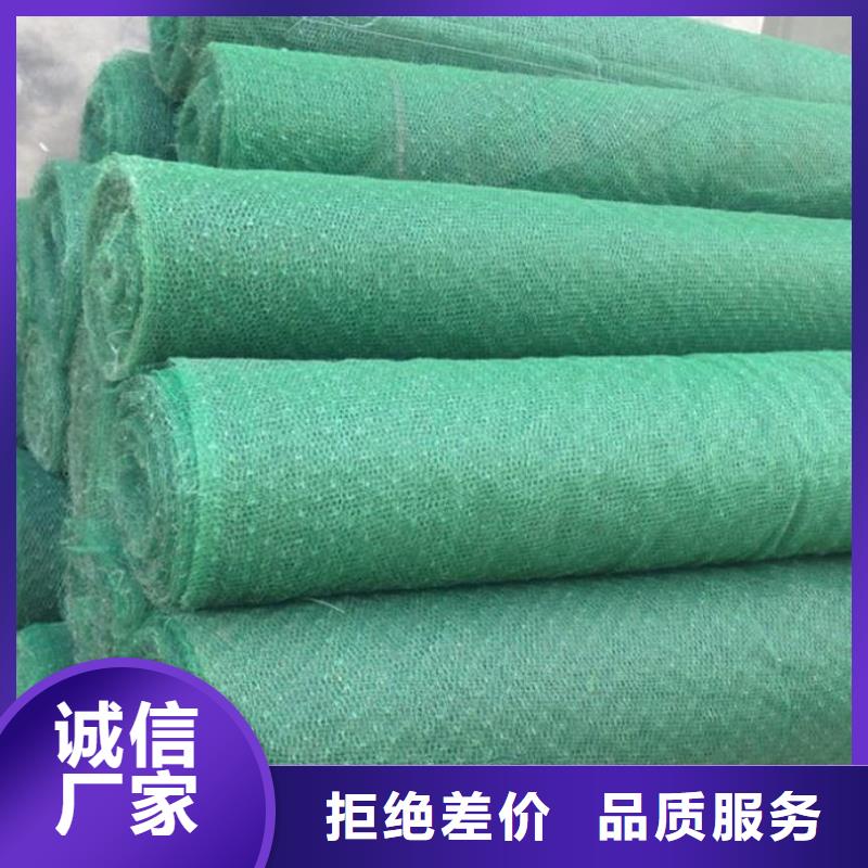 护坡种草三维植被网生产厂家收费标准