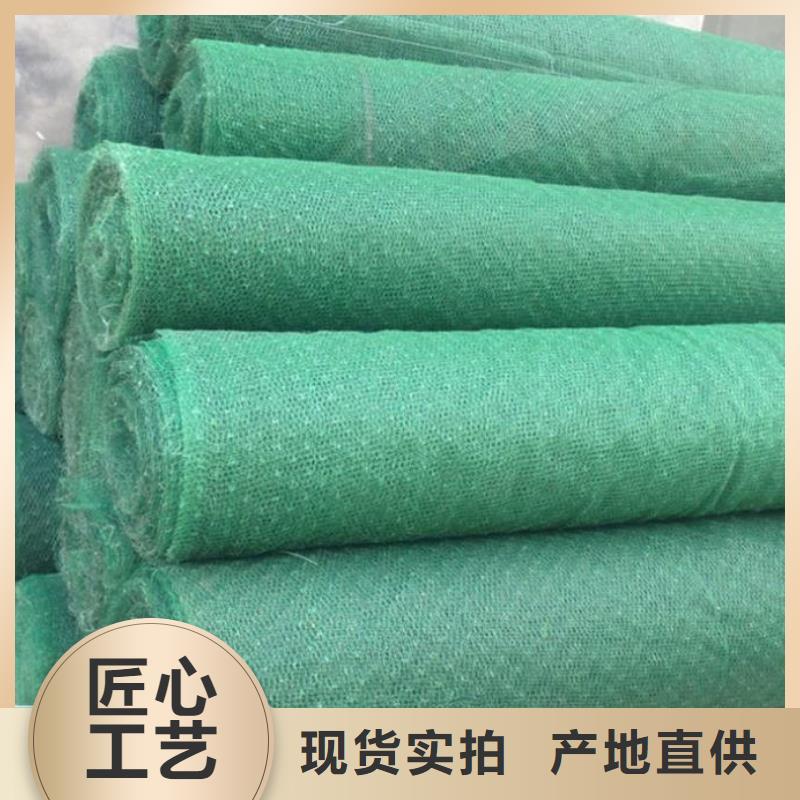 2025三维植被网施工方案