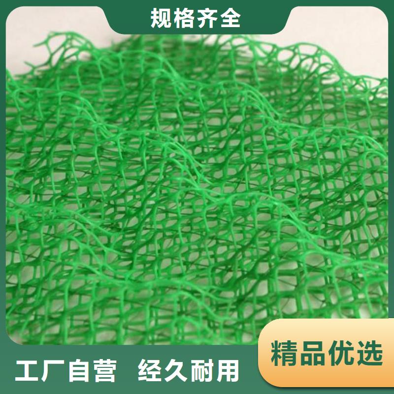 三维植被网土工布价格质检合格发货
