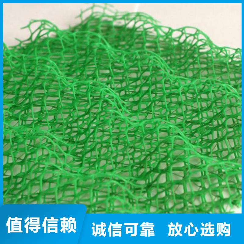 三维植被网_高性价比三维植被网_选择亿路通新材料